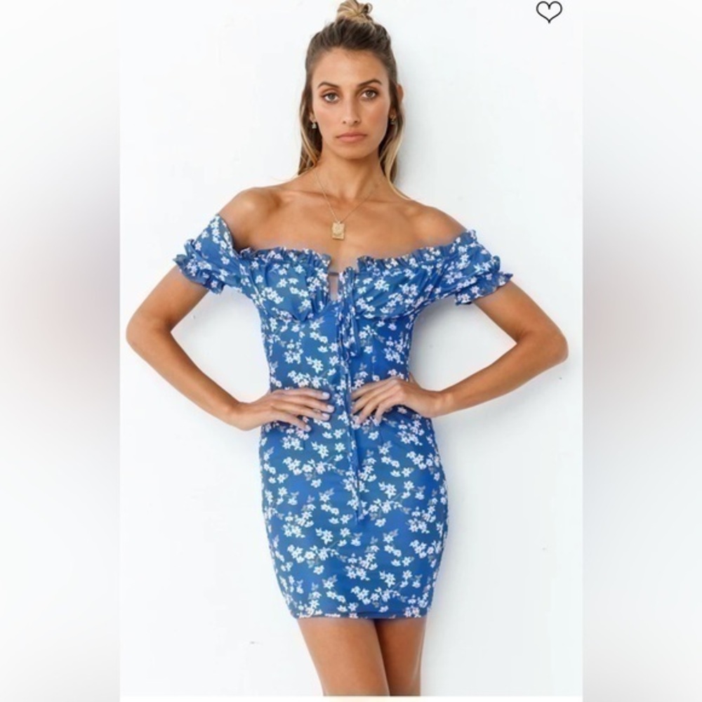 NWT Hello Molly Dress Enchanted Evening